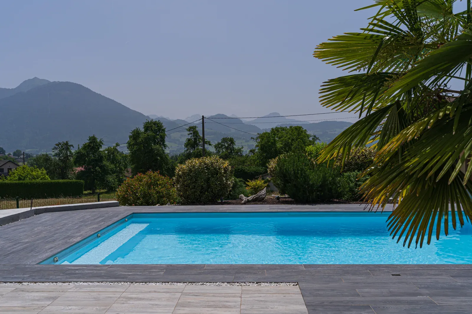 Piscine rectangulaire bordée de palmiers face aux montagnes à Viuz-en-Sallaz
